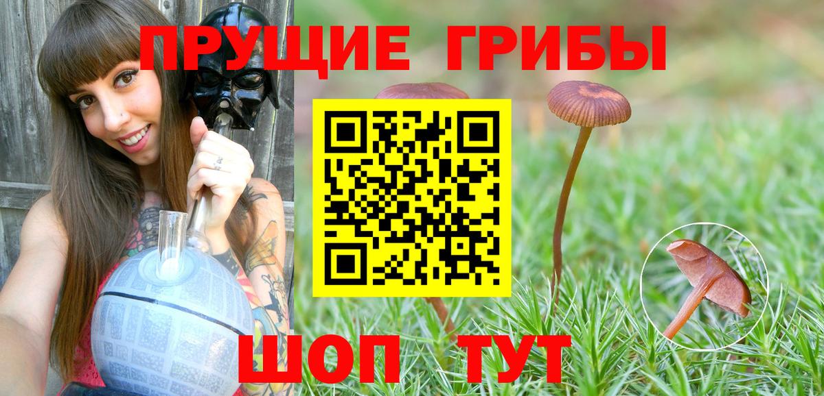 Галлюциногенные грибы мицелий  Галлюциногенные грибы ЛСД  Донецк  Вход с VPN 
